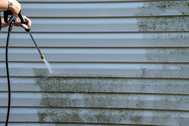 Best Siding Removal and Disposal  in Alanes Ridge, CA