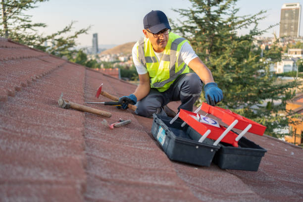 Best Insulated Siding Installation  in Alanes Ridge, CA